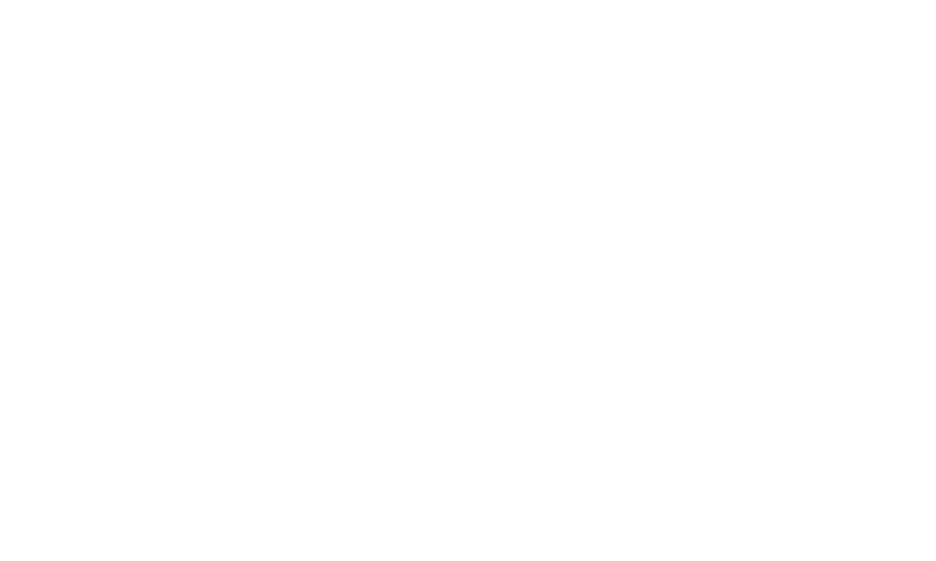 Tribeca Film Festival 2018 laurel for Best Documentary Feature