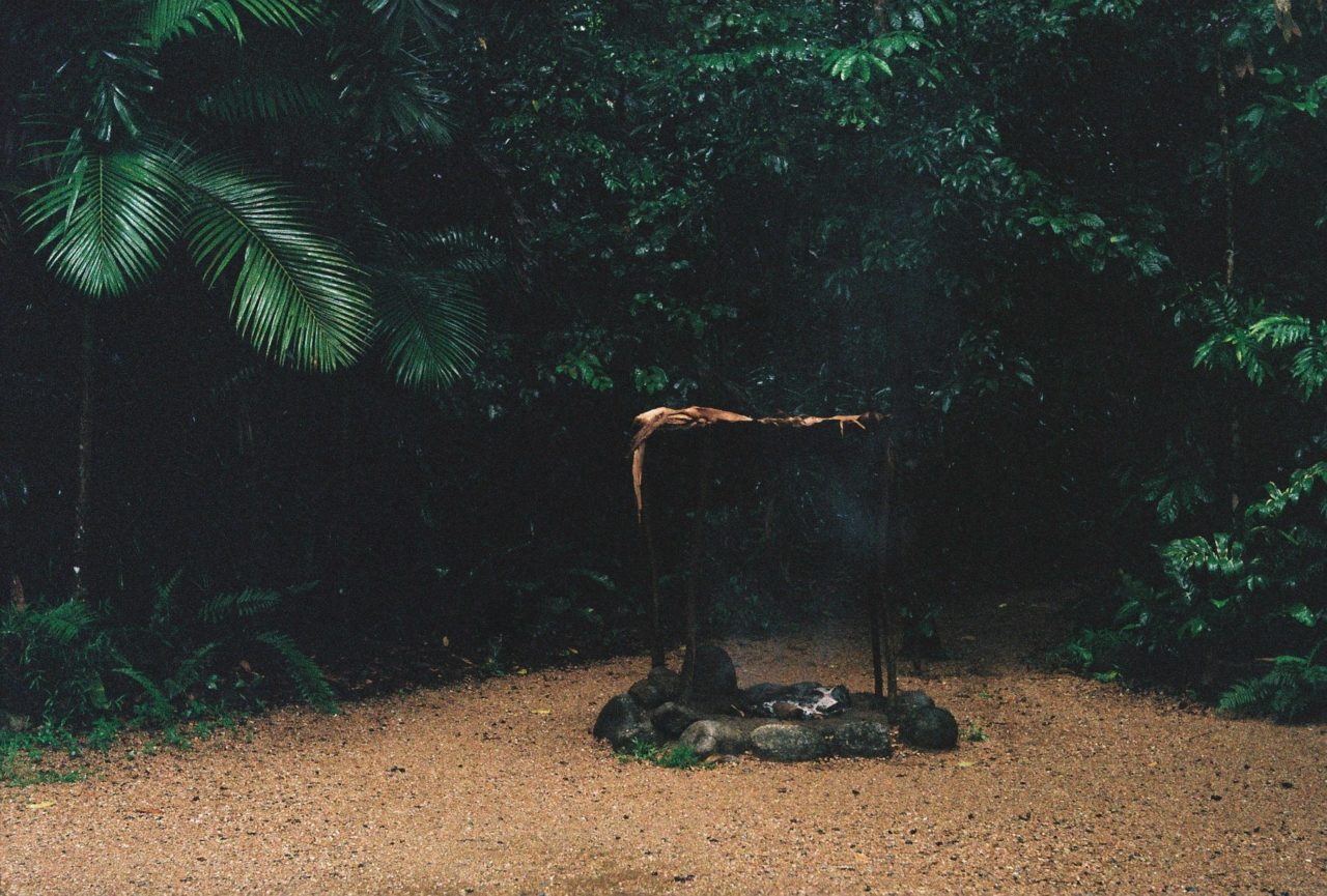The Flightless Bird's still image
