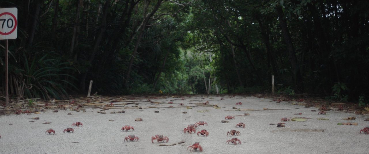 Island Of The Hungry Ghosts's still image