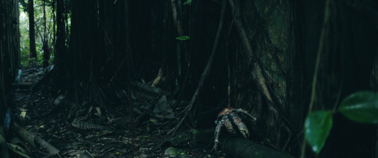 Island Of The Hungry Ghosts's still image