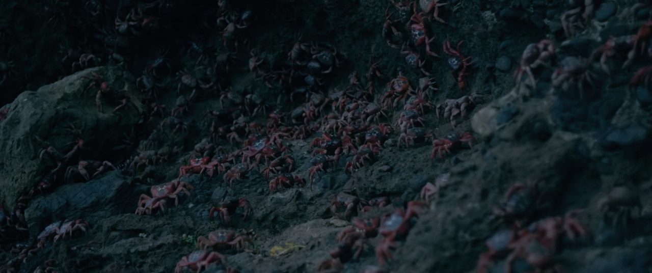 Island Of The Hungry Ghosts's still image